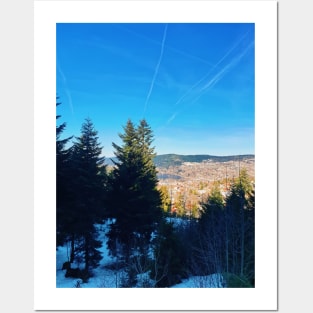 coniferous trees on the top of mountain hills Posters and Art